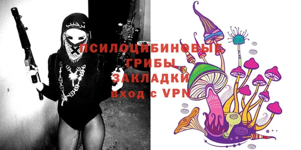 прущий лед Михайлов