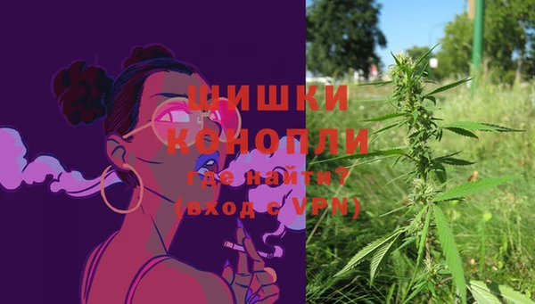 тгк Михайловск