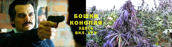 прущий лед Михайлов