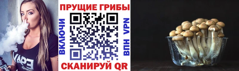 Купить где  Онега  Псилоцибиновые грибы мухоморы 