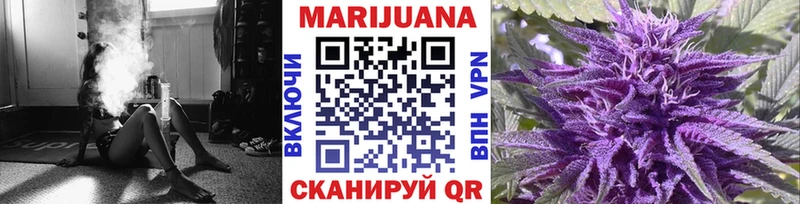 Конопля OG Kush  Купить где  Онега 